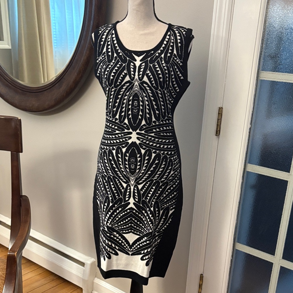 Sioni Black and White Graphic Midi Dress